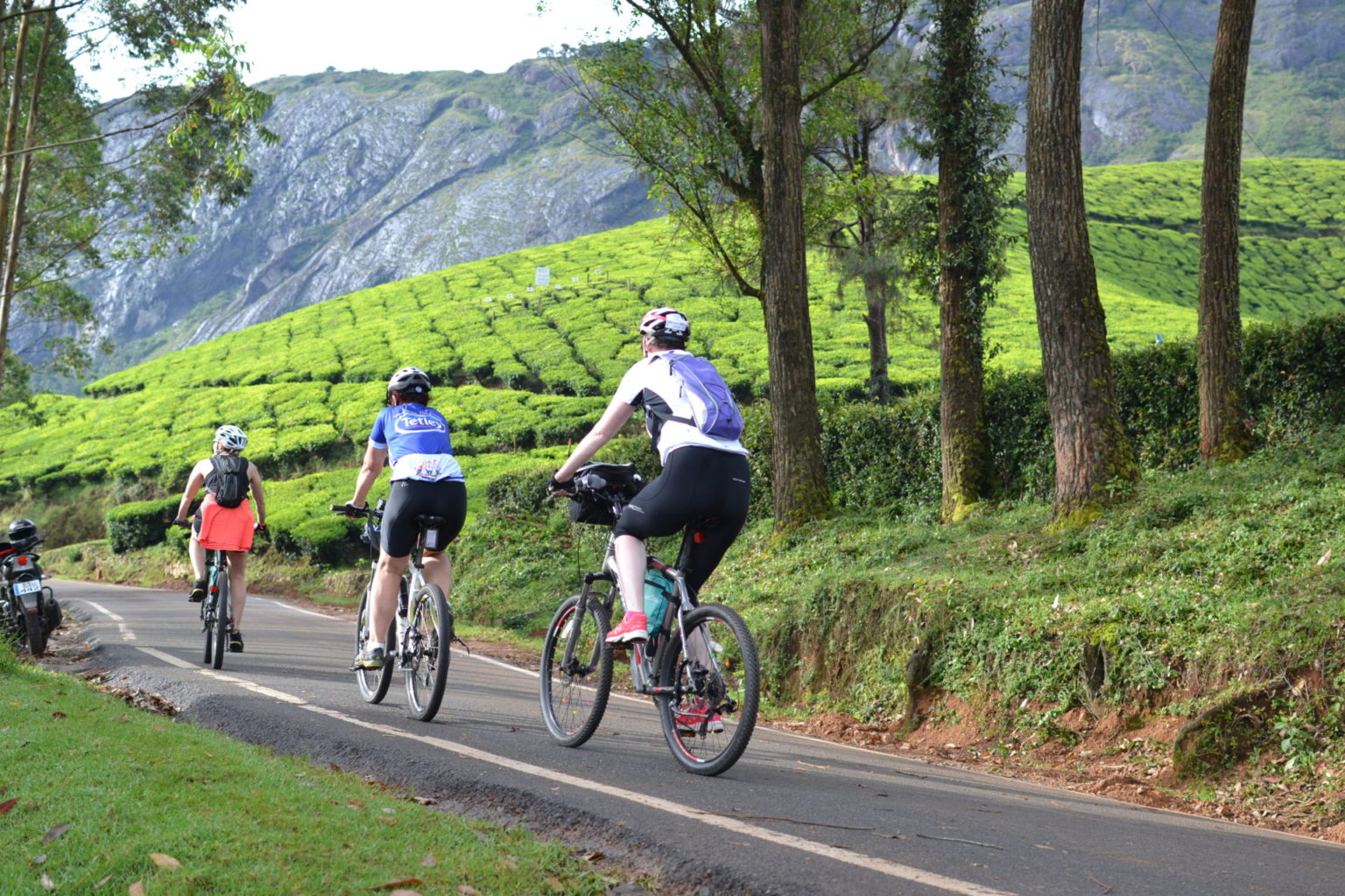 5 Days Kerala Backwater Houseboat Cycling Tour